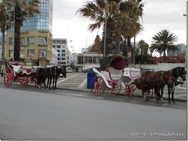 Улица Туниса